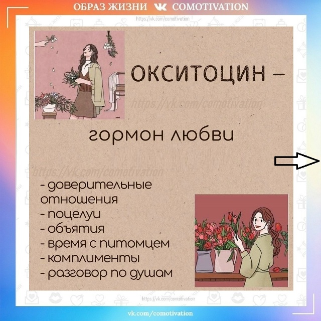 Играй гормон.