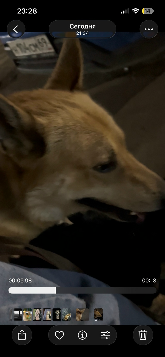 Ищу хозяина этой собаки, буквально час назад на меня и ?...