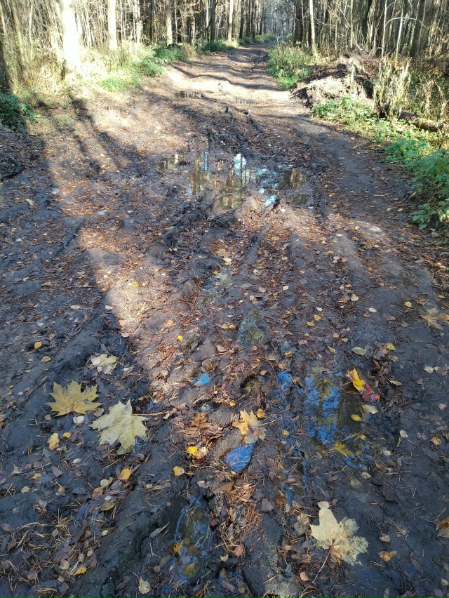 Добрый день, отрадненцы. Возник вопрос к тем, кто в курс...