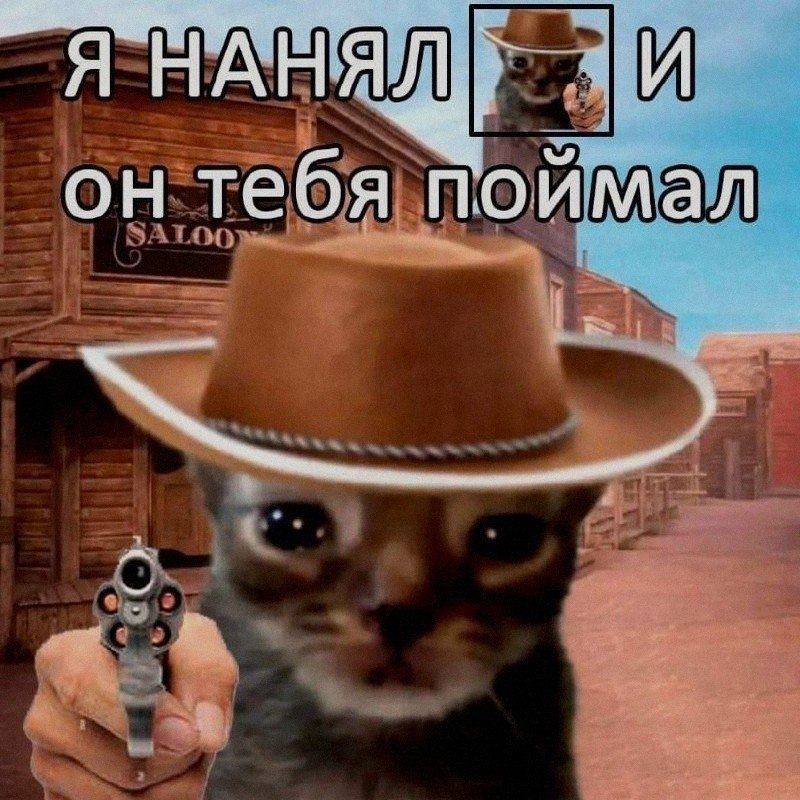 Ночная подборочка
Спать, режим