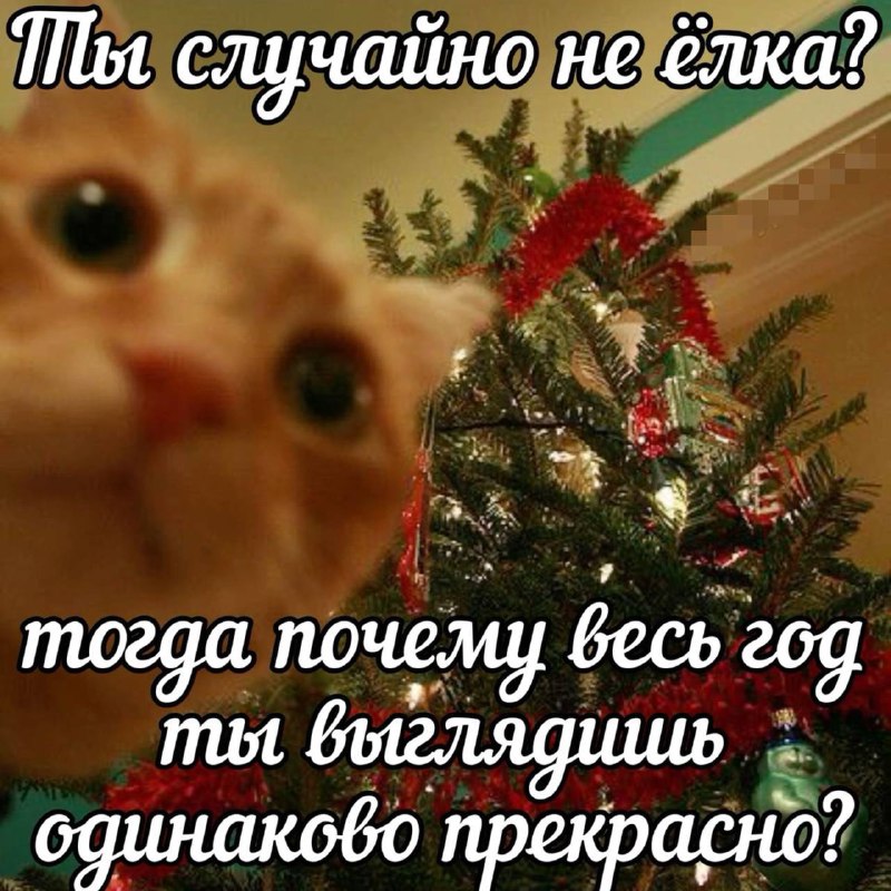 Утренняя подборочка