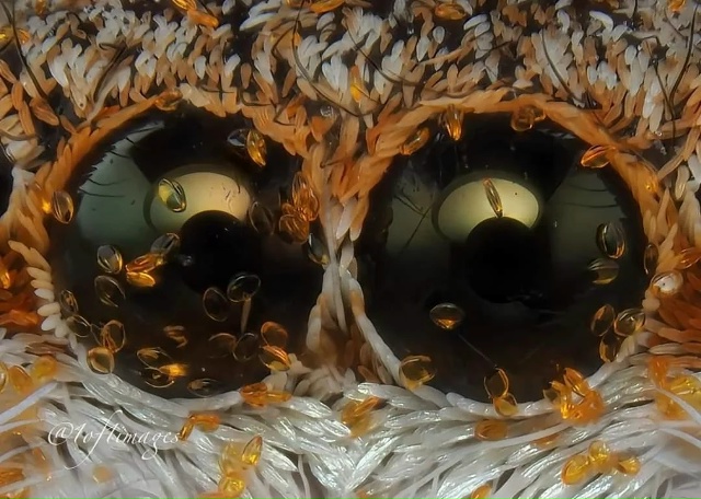 Сможете понять где чьё зеркало души? Глаз - сенсорный ?...