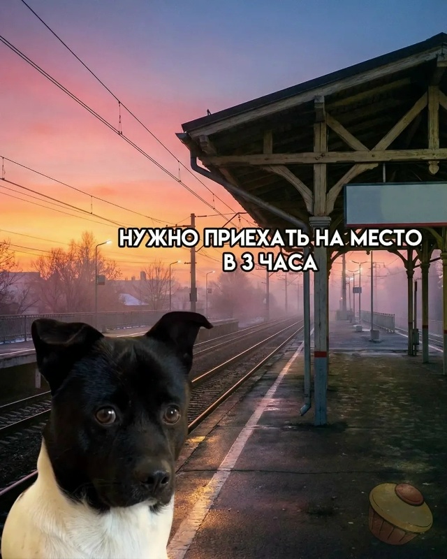 Я и мои сборы