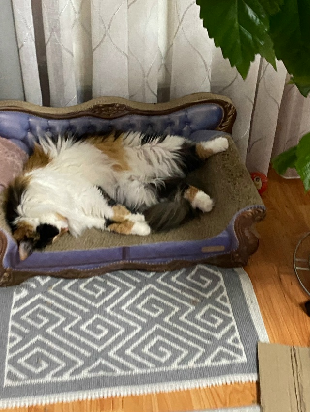 Доброй ночи!