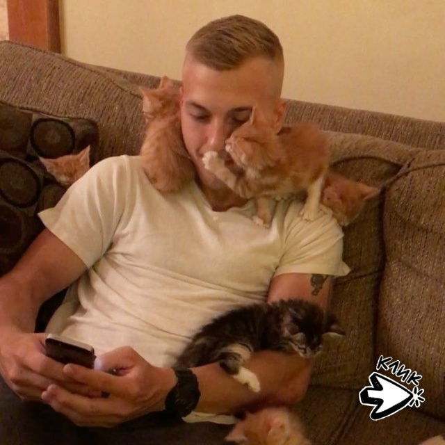 Повелитель котяток)))