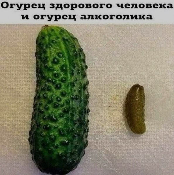 Ночная подборочка
Выходные, не спим