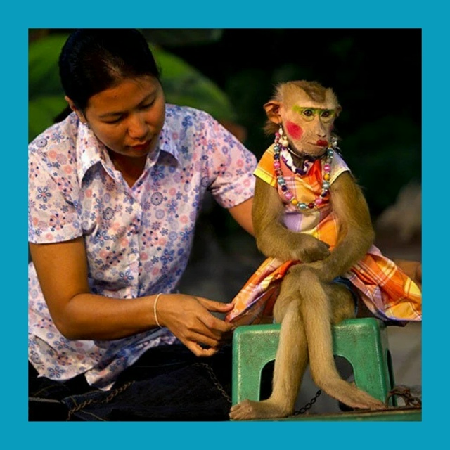 Лоукостер AirAsia готовит рекордно дешёвые рейсы из Москв...