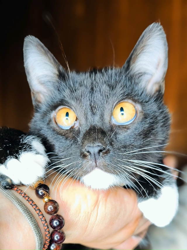 Сестрицы Милашка и Кнопочка, очаровательные девчонки ?...