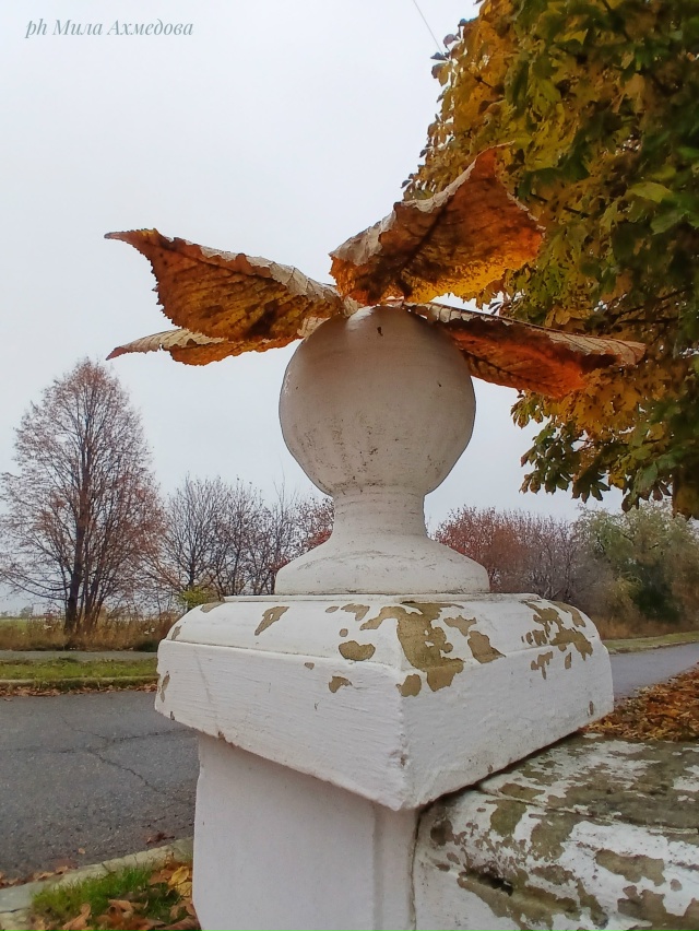 Осен, туманы в городе.
Последние краски осени.🎨
Тихо и...