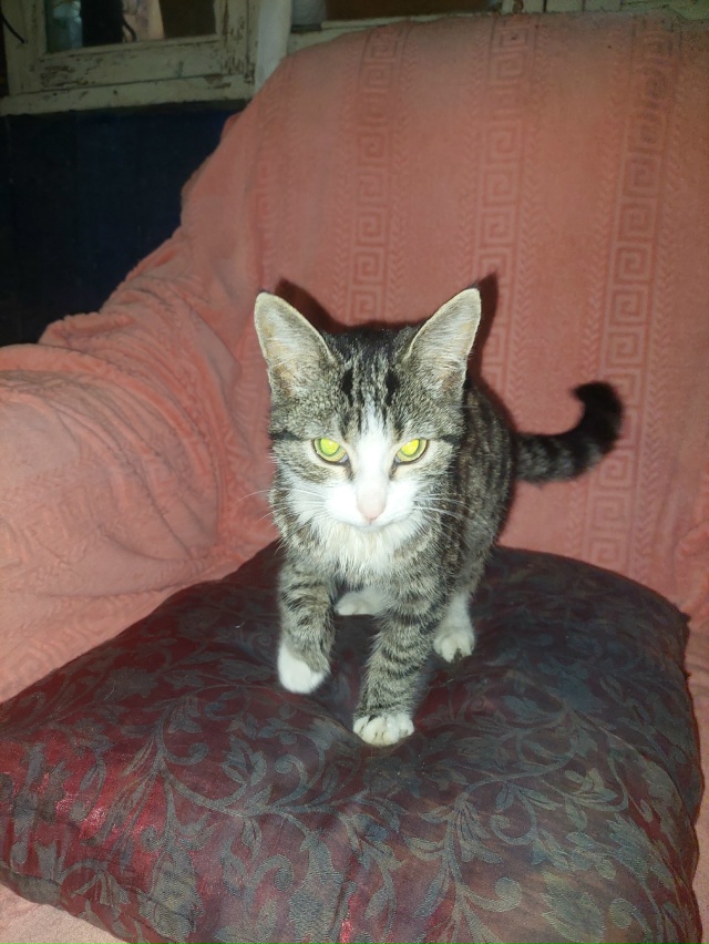 Уважаемые неродивые жители города,ну скажите ,пожалуй?...