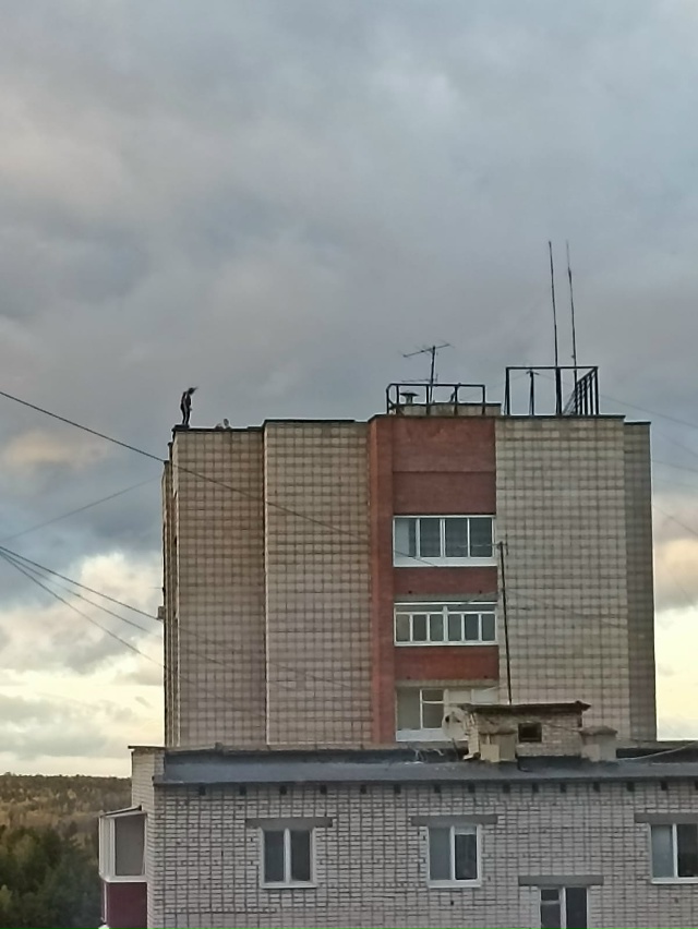 Зрелище было не из приятных, не дай Бог небольшая ошибк...