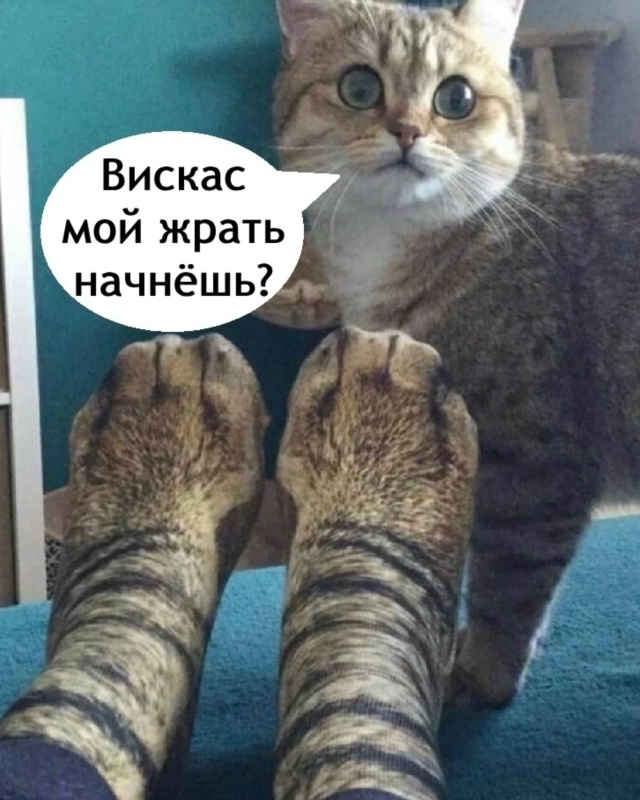 Ну это уже ни в какие ворота не лезет