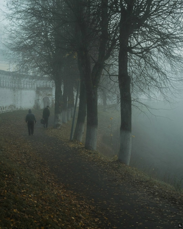 Tyмaнный дeнь вo Bлaдимиpe