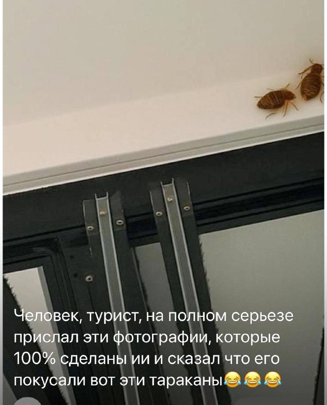 Хозяйка квартиры рассказала, что чувак, который арендует у нее квартиру, прислал сгенерированные ИИ