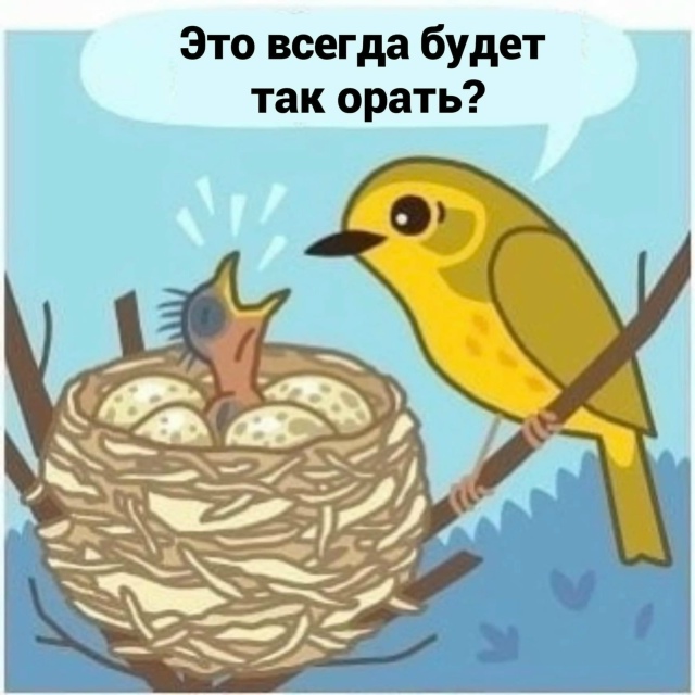 Дальше легче