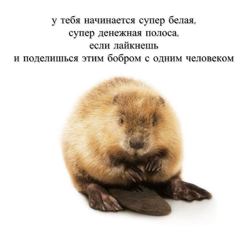 Если откажешься, то: ПОНОС