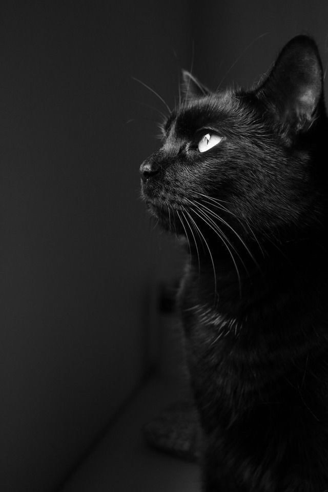 подписчица сообщает: 