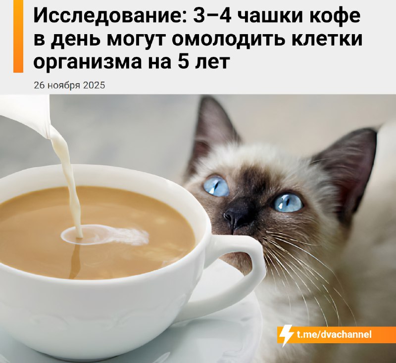 Регулярное умеренное употребление кофе может омолодить организм на 5 лет, выяснили норвежские учёные