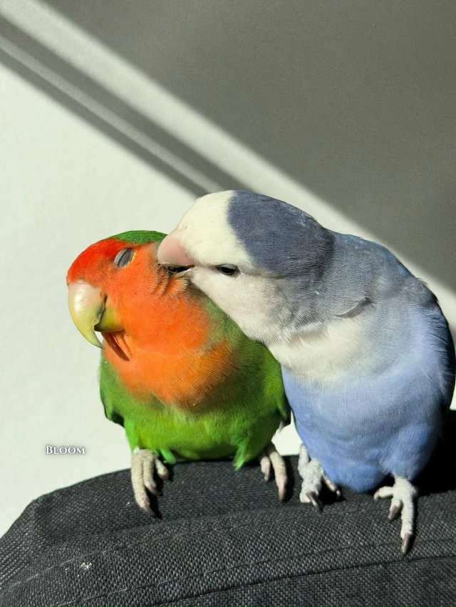 Они вместе уже 12 лет