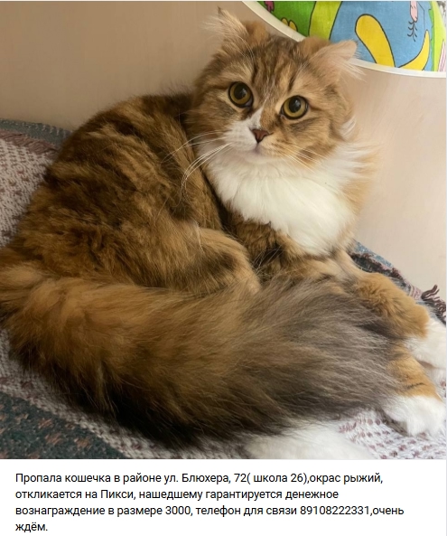 Пост добра. Распространите, пожалуйста.