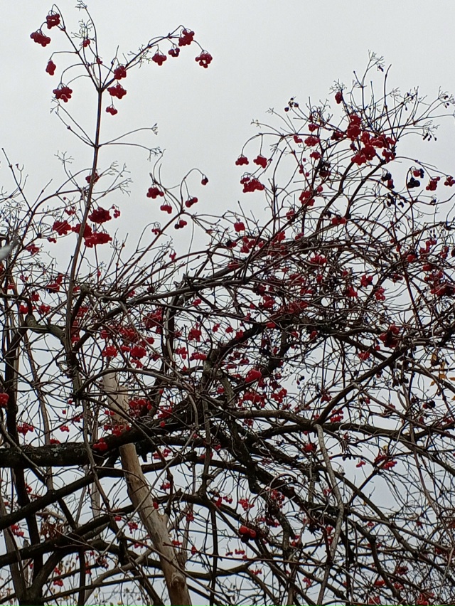 Как давно меня не было на даче и до сих пор не решил воп?...