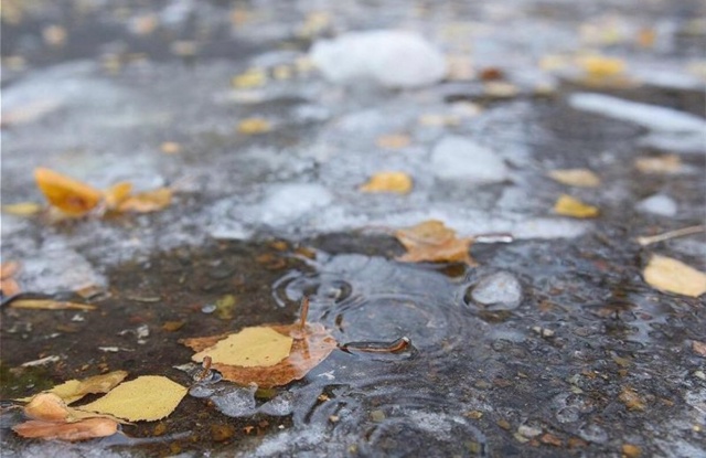 В РЕГИОНЕ ЖДУТ ПЕРВЫЙ МОКРЫЙ СНЕГ
Хотя и даже временн?...