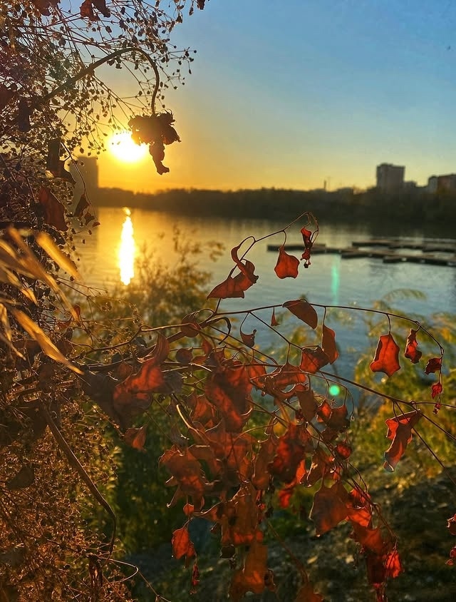 Осенние пейзажи 🍁