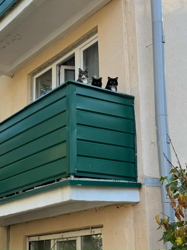 Идёшь по городу и постоянно ощущаешь, что за тобой ведё...