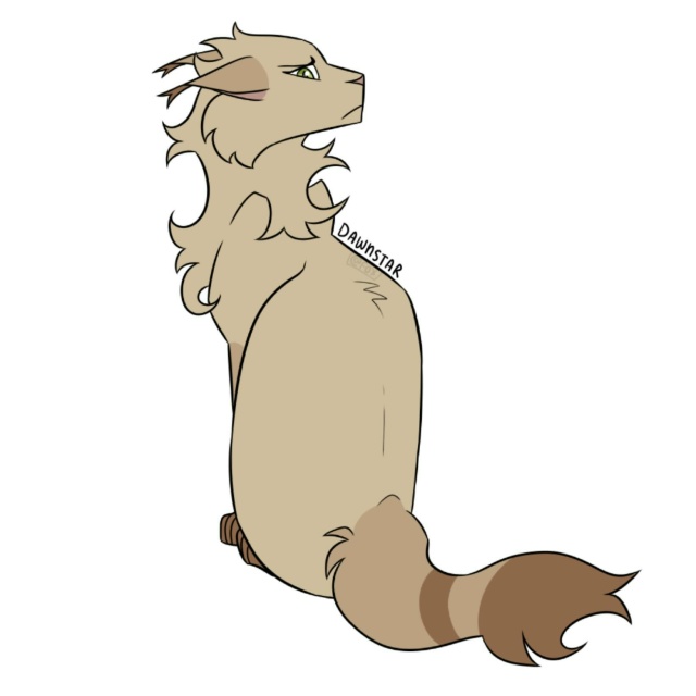 Рассветная Звезда
© xfoxflowerx
#KV_ZZ_ART