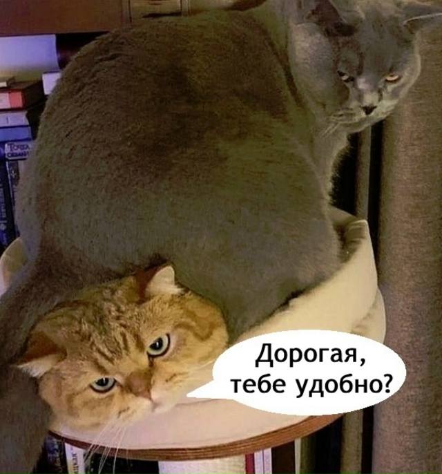 Вот так и живем
