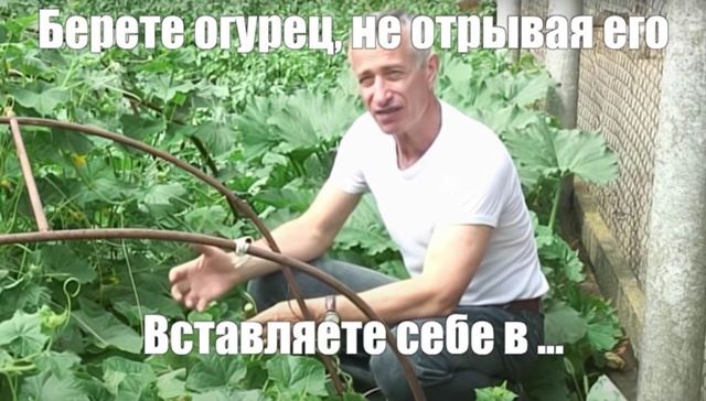 Студент на спор засунул в опу 20-сантиметровый огурец. ...