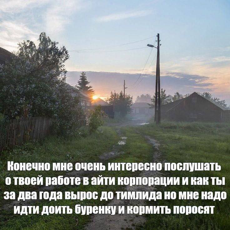 Утренняя подборочка