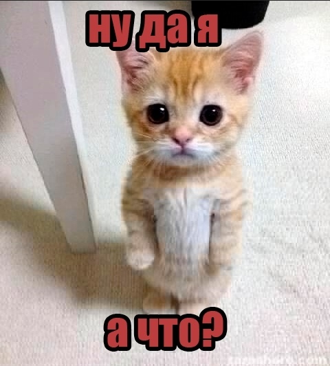 Безумные приколы
В Нижегородской области был задержан...