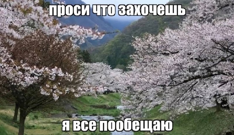сегодня в настроении