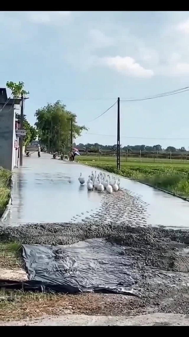 Оставили так сказать свой след в истории!!