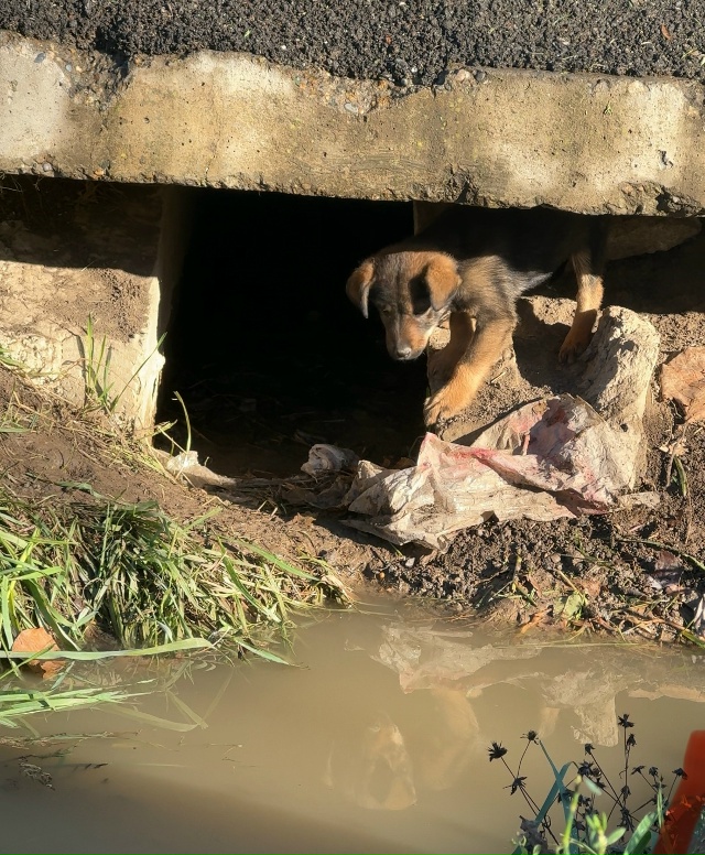 Добрый день
На пересечении улиц
Исполкомовская-Керче...