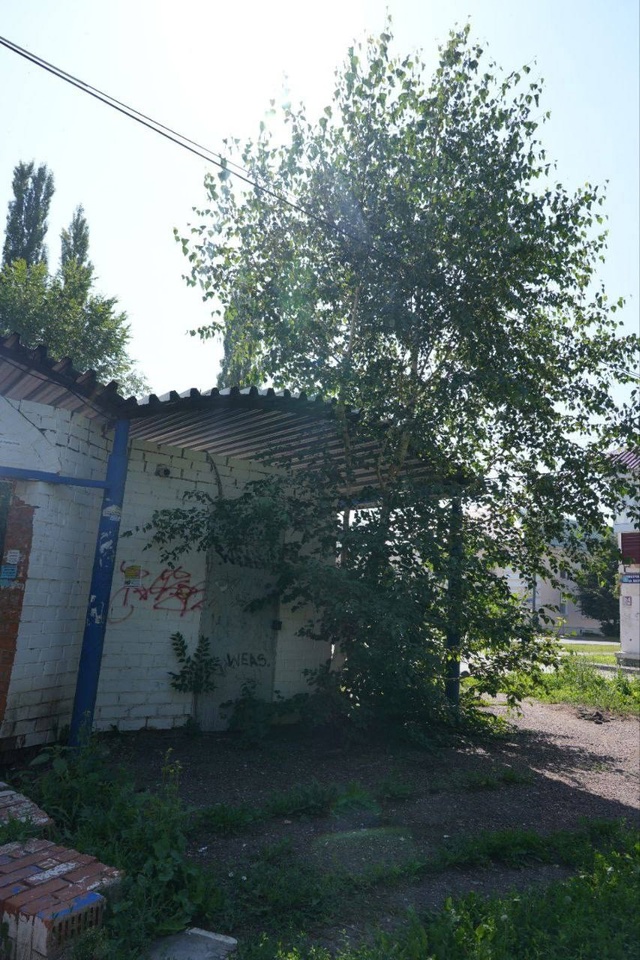 ??Глава Салавата проверил аллею на ул. Матросова и в?...