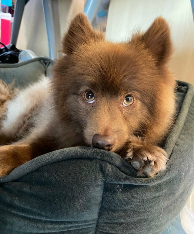 Молочный шоколад🍫❤