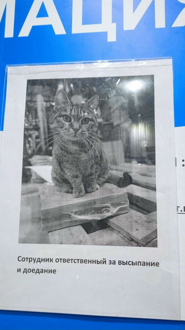 Что за специальность такая медовая у этого бесоеба? Гд?...