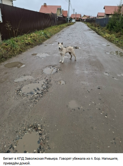 Пост добра. Распростаните, пожалуйста.