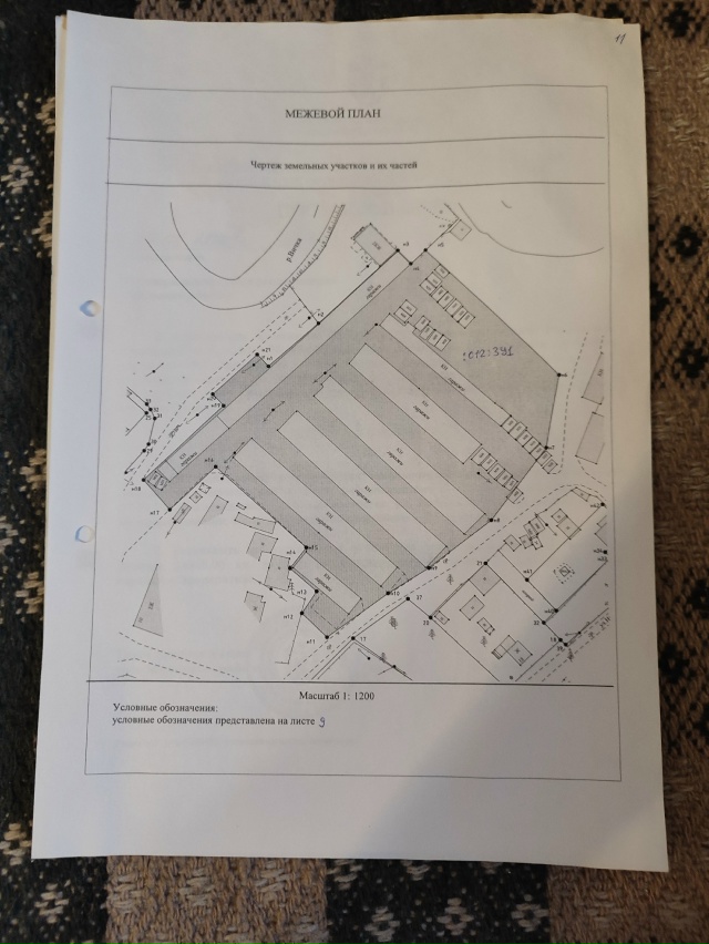 Здравствуйте, может кто помнит в каком году выделили з?...