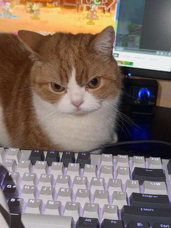 Ето я рабкотаю радостный и полный мотивации