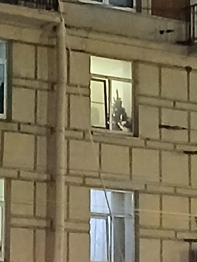 ? Главного фаната Нового года заметили в Петербурге.