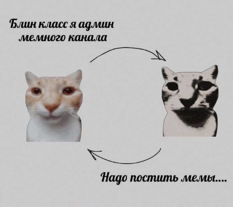 Ночная подборочка
Выходные, не спим