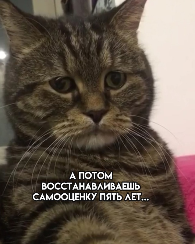 Жаль этих добряков