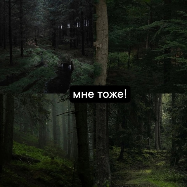 Два разных мира...