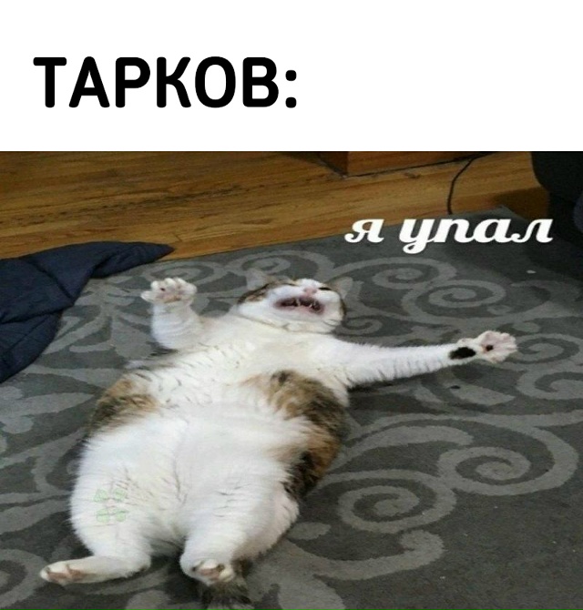 Серверы Escape from Tarkov опять обвалились - при попытке зайти...