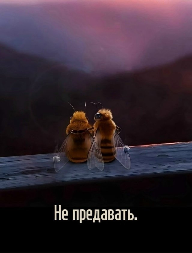 Это так и есть...