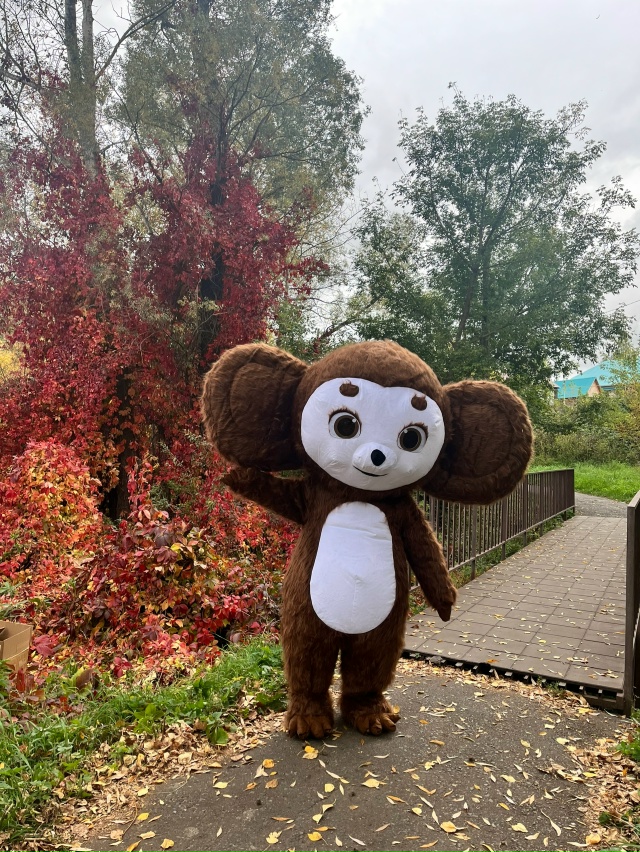 🥰Друзья!
❗️ Вы живёте в другом городе и хотите поздр?...