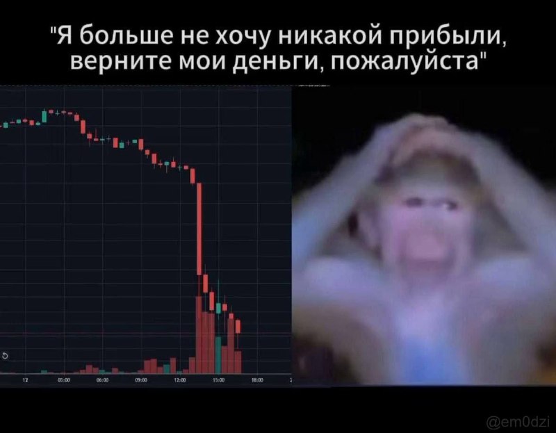 Вайб тортов
@givemetonru